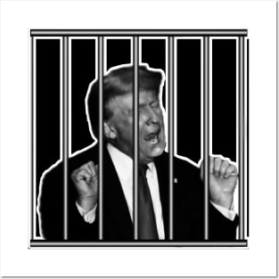 LOCK HIM UP Posters and Art